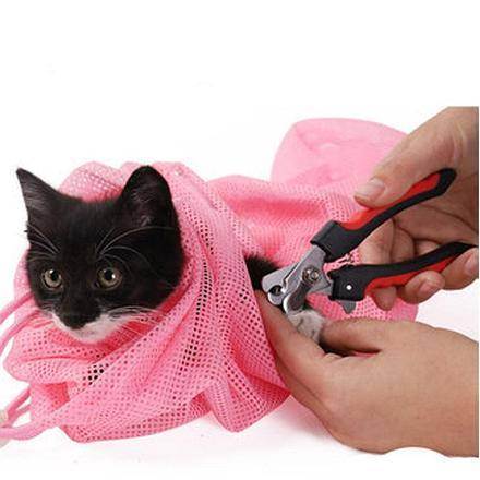 Сетка-мешок для купания кошек – в чем преимущества использования приспособления?