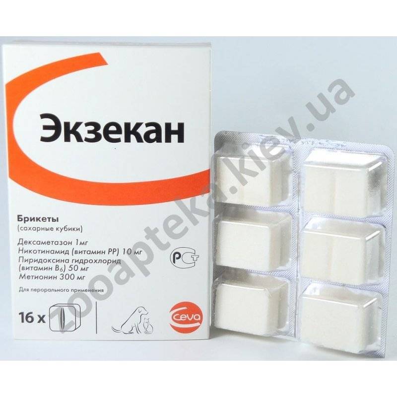 Экзекан для кошек: инструкция по применению
