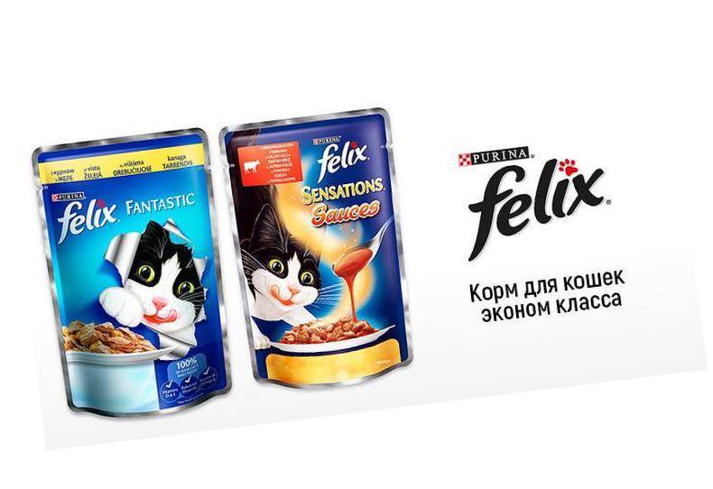 Недорогие корма для кошек