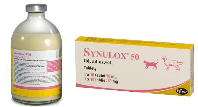 Синулокс для кошек: показания, инструкция по применению антибиотика с дозировками, побочные реакции