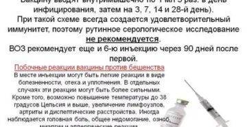 Осложнения у кошек после прививки от бешенства: характерные реакции и методы их устранения