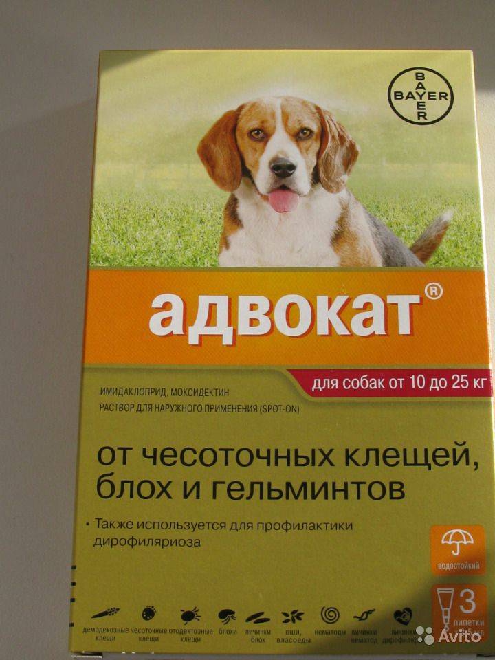 Ветеринарный препарат адвокат для собак: инструкция по применению