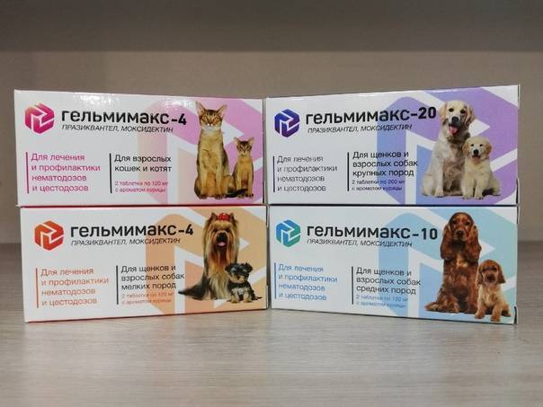 Капли на холку от глистов для кошек – эффективность, техника нанесения, обзор препаратов
