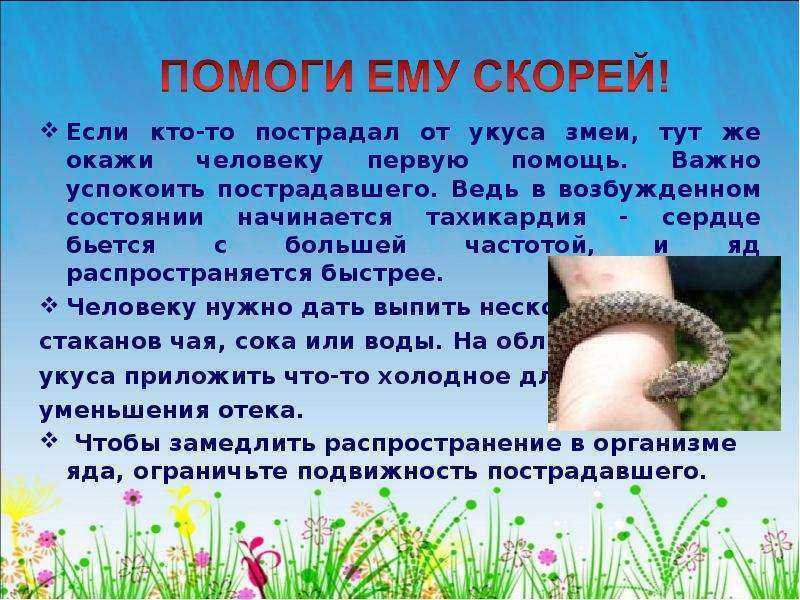 Помощь при укусе собаки