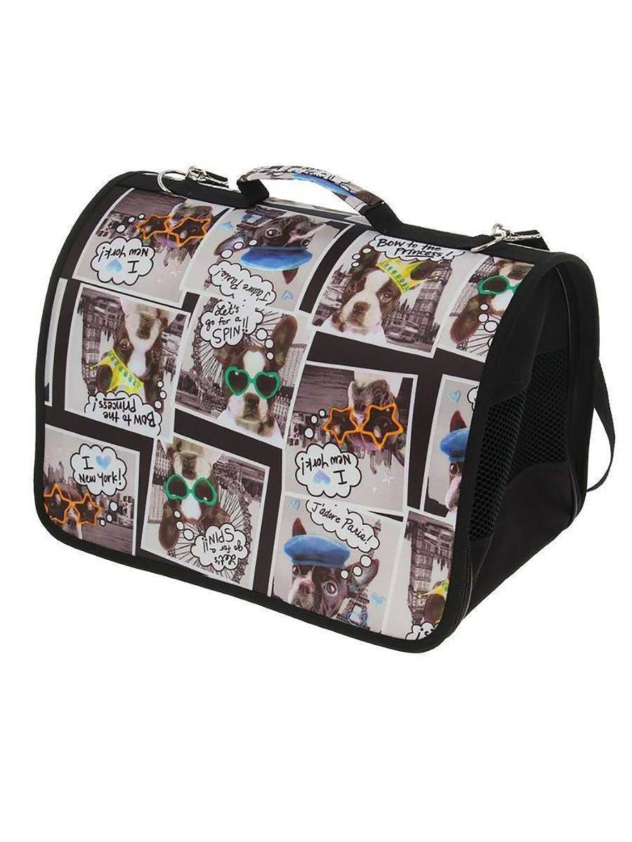 Советы по выбору переноски-рюкзака для кошек
