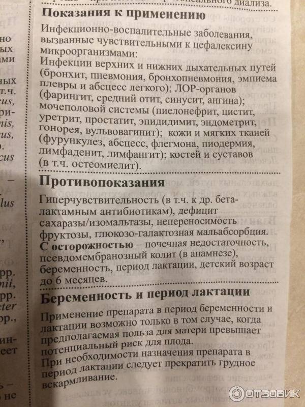 Как давать Цефалексин кошке?