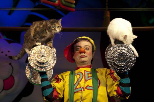 Юрий куклачев и его кошки: видео