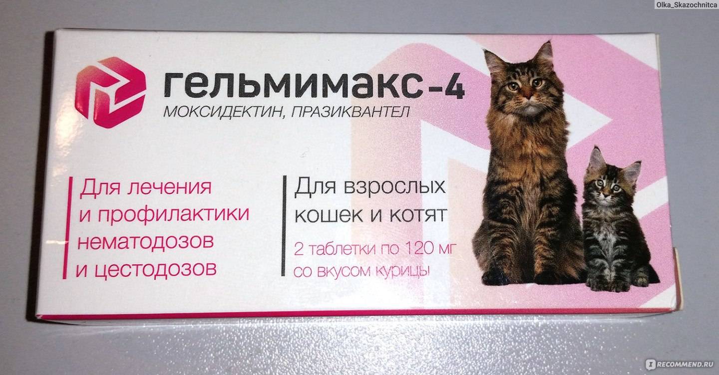 Тениаринхоз – бычий цепень