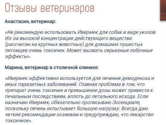 Ивермек — инструкция по применению для кошек