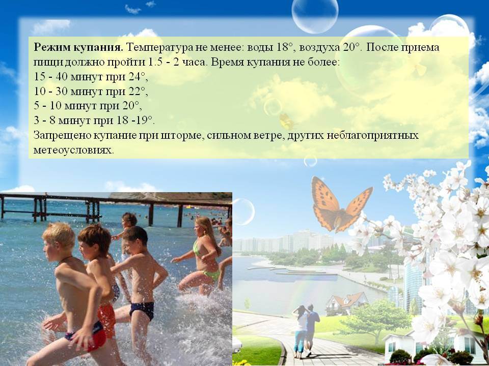 Как помыть кота, кошку
