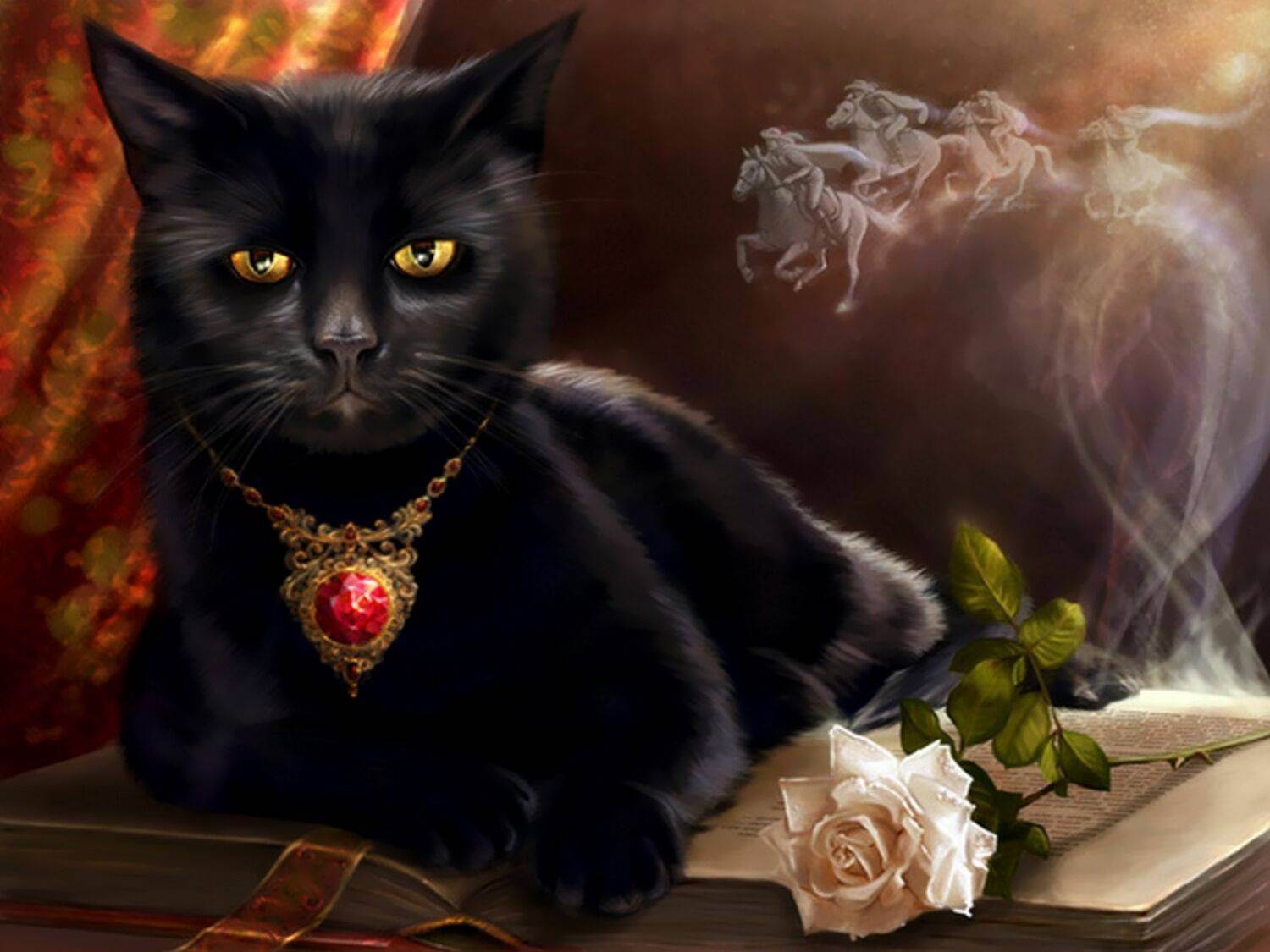 Все о приметах с черной кошкой: что значит, приносит ли счастье в дом и другие
