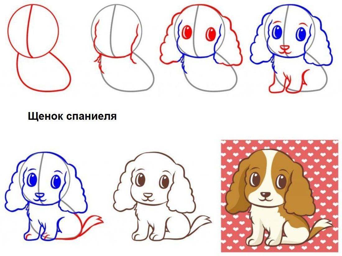 Как нарисовать собаку легко и просто для детей с 5 до 10 лет