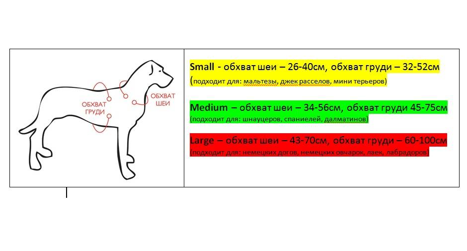 Как определить, подобрать, узнать размер ошейника для собаки по породе: вспомогательная таблица