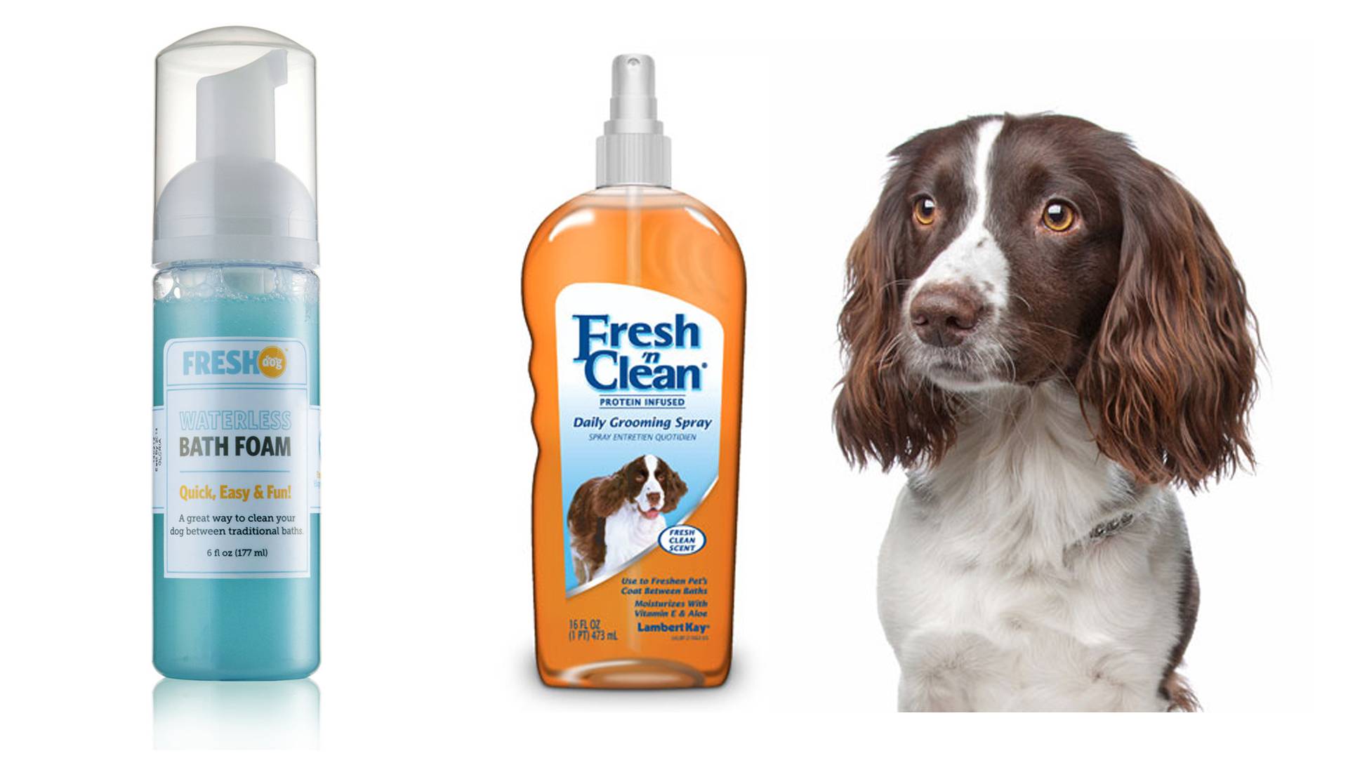 Что будет если помыть волосы шампунем для собак