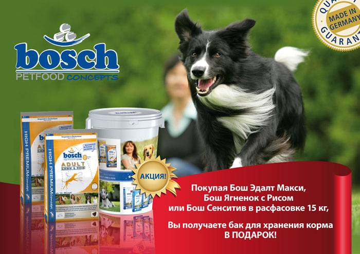 Описание кормов для собак bosch:состав, дозировка и отзывы ветеринаров