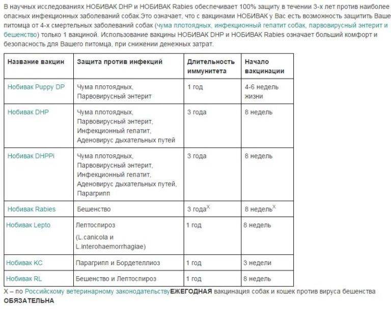 Как часто делают кошкам прививку от бешенства: сроки, периодичность