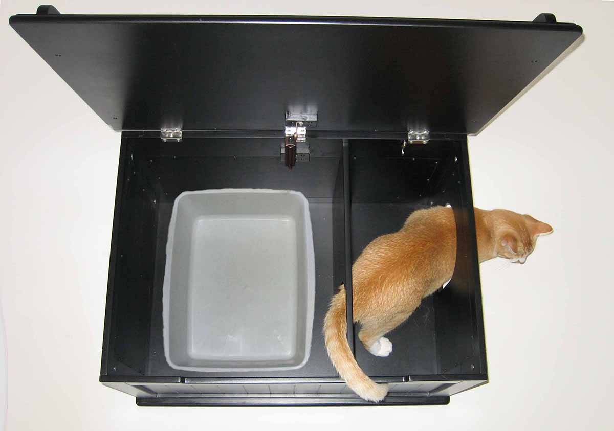 Обзор 8-ми лучших закрытых туалетов для кошек. рейтинг по отзывам пользователей