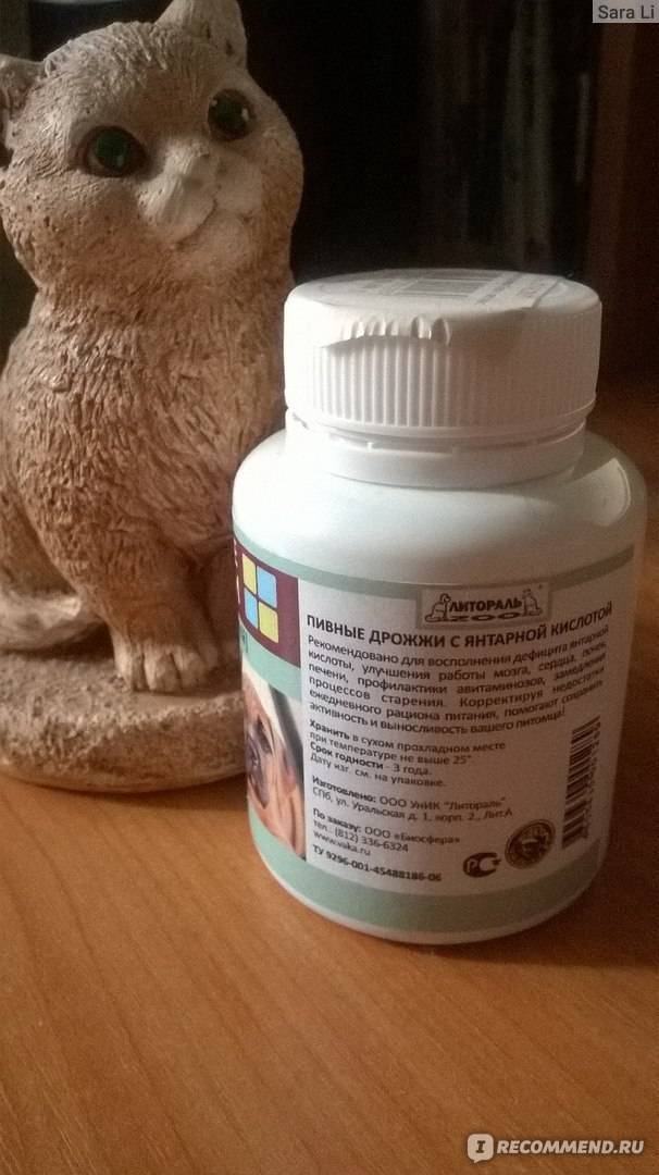 Пивные дрожжи для кошек - можно ли давать