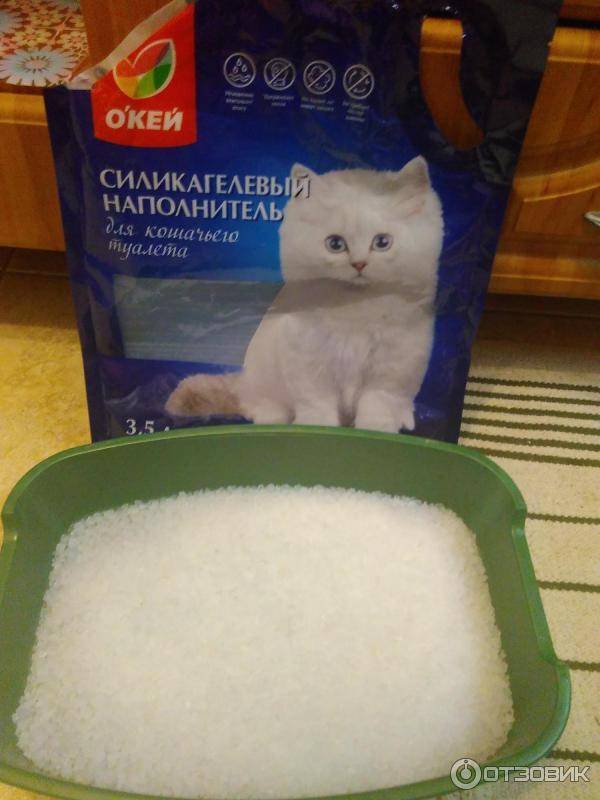 ᐉ как выбрать наполнитель для кошачьего туалета? - ➡ motildazoo.ru