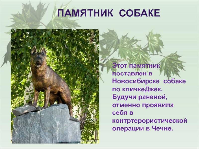 Самые знаменитые памятники собакам в мире. памятники собакам, установленные в россии. сибирская лайка балто в нью-йорке