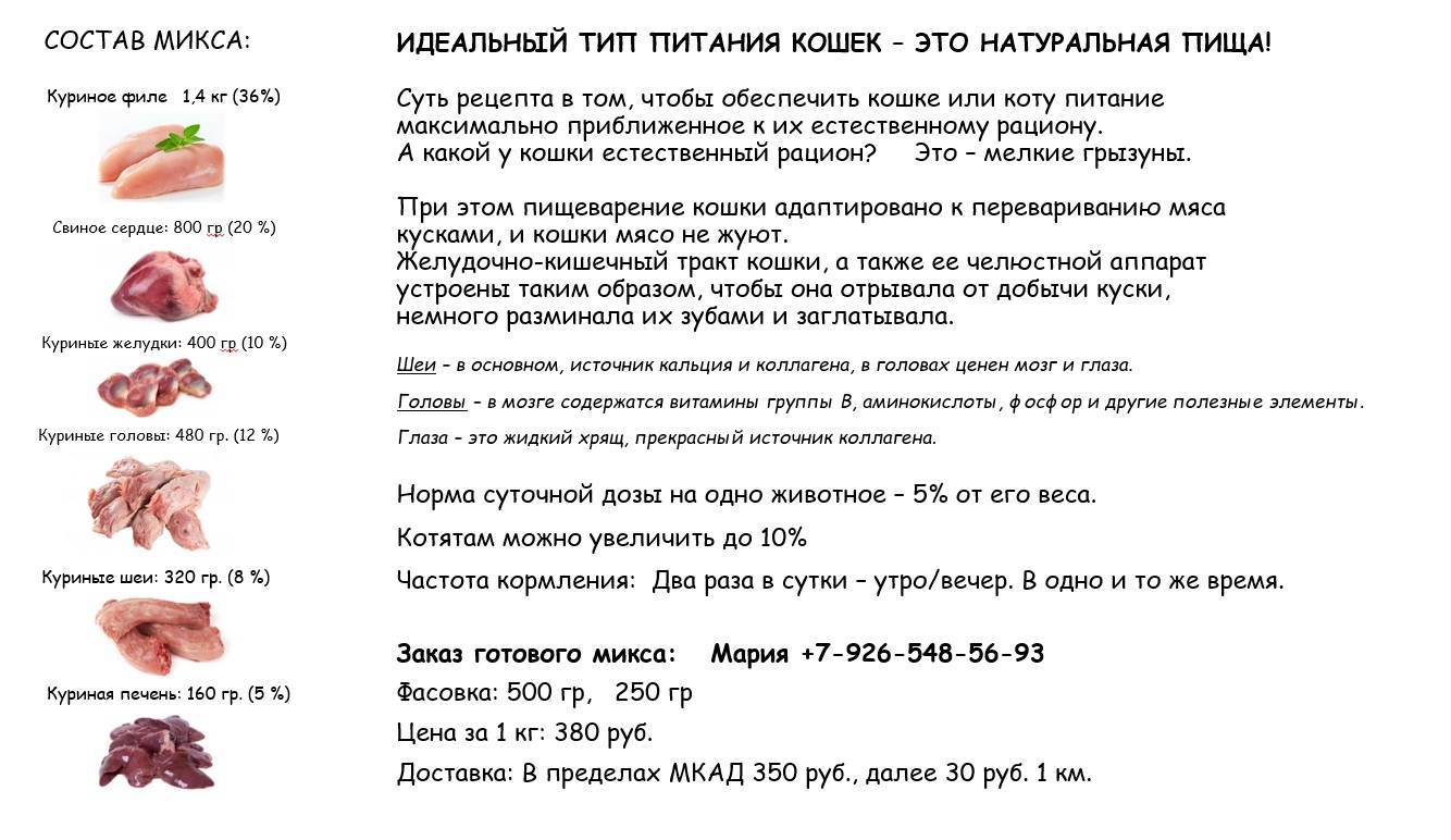 Сырое мясо для собак: можно ли давать, польза и вред | все о собаках