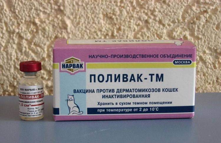 Реабилитация после удаления грыжи