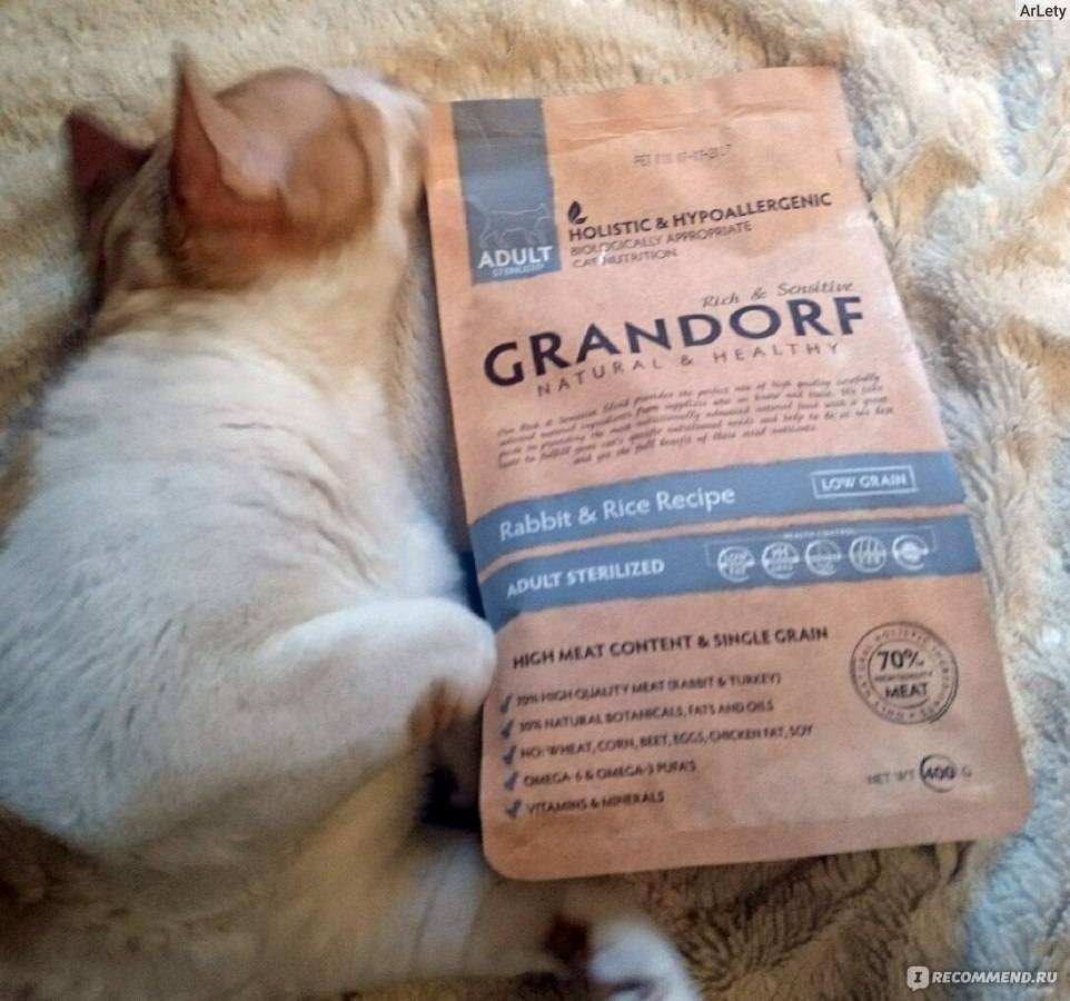Из чего состоит корм для кошки и котенка grandorf: подробное описание