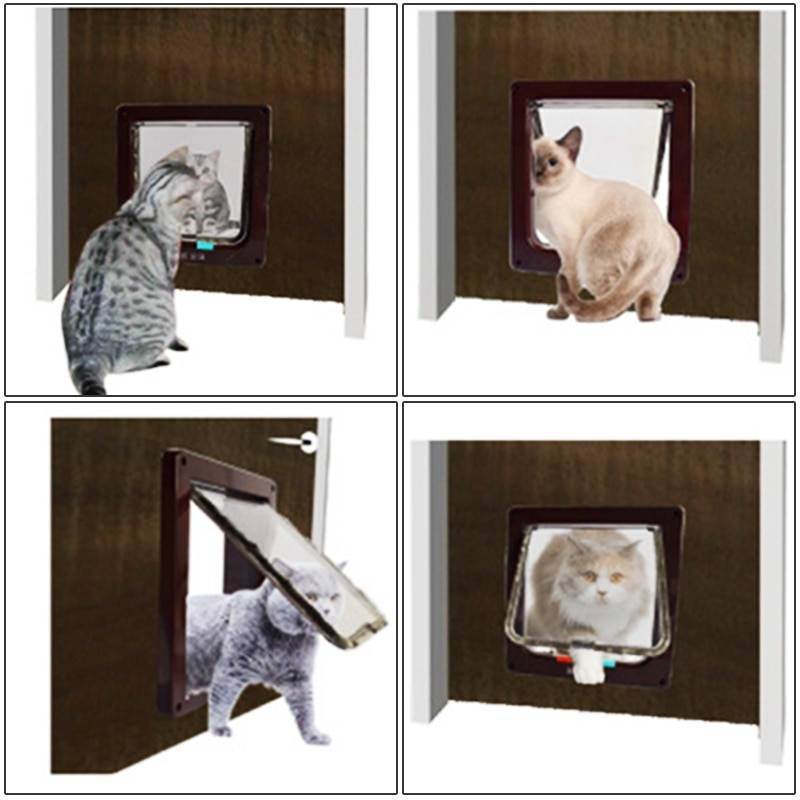 Как своими руками сделать кошачий лаз в двери: советы по изготовлению и установке дверцы для кошки