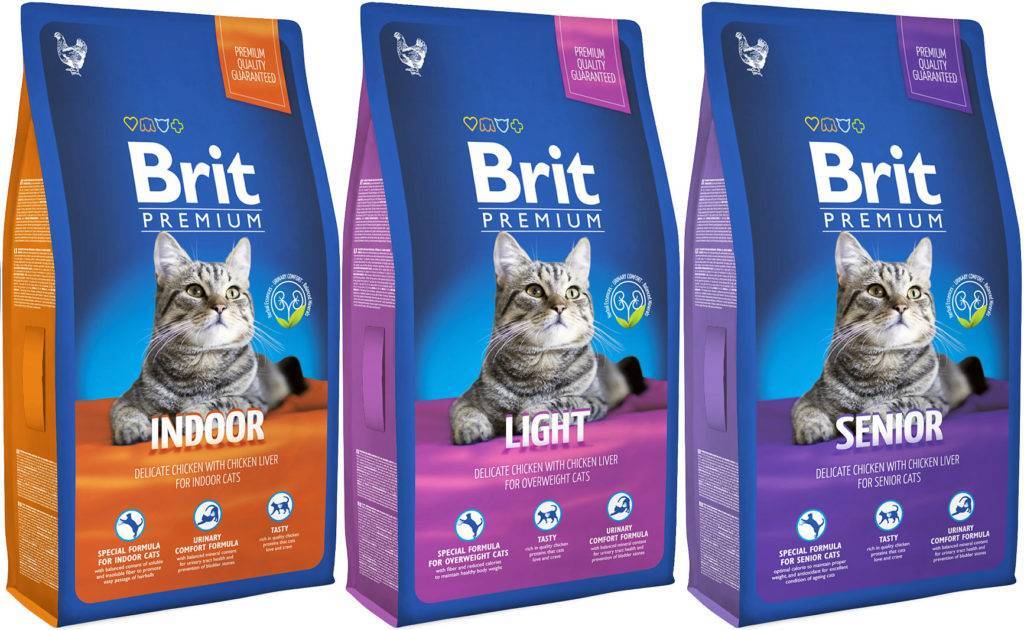 Brit cat корм для кошек. Брит холистик для котят. Корм Брит для кошек линейка кормов. Корм для стерилизованных кошек премиум холистик. Корм для кошек Brit премиум.