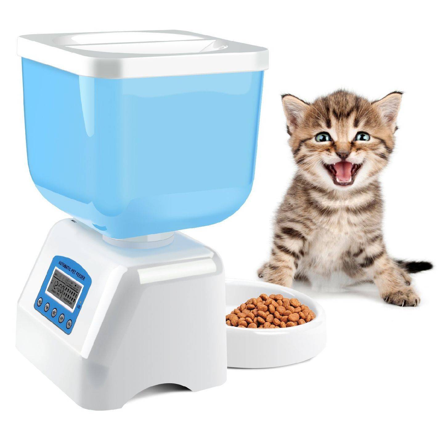 Нас и здесь неплохо кормят: автоматическая кормушка для кота