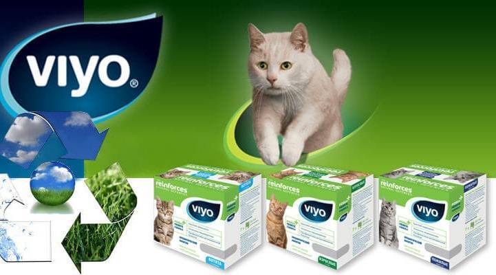 Пробиотики для кошек: принцип действия, инструкция по применению, популярные марки
