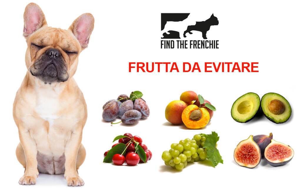Дыня собакам. Полезная еда для собак. Запрещенные продукты для собак. Разрешенные фрукты и овощи собаке. Самая полезная пища для собак.