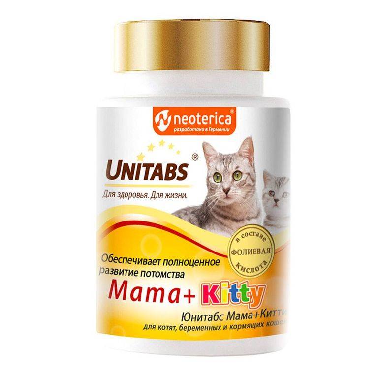 Витамины для кошек: для иммунитета, для кастрированных котов, какие лучше, как давать, дозировка