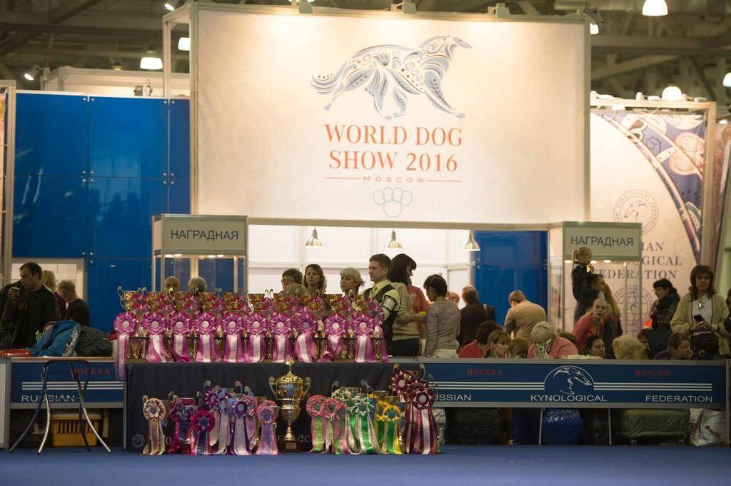 Чемпионат мира собак world dog show в 2019 году