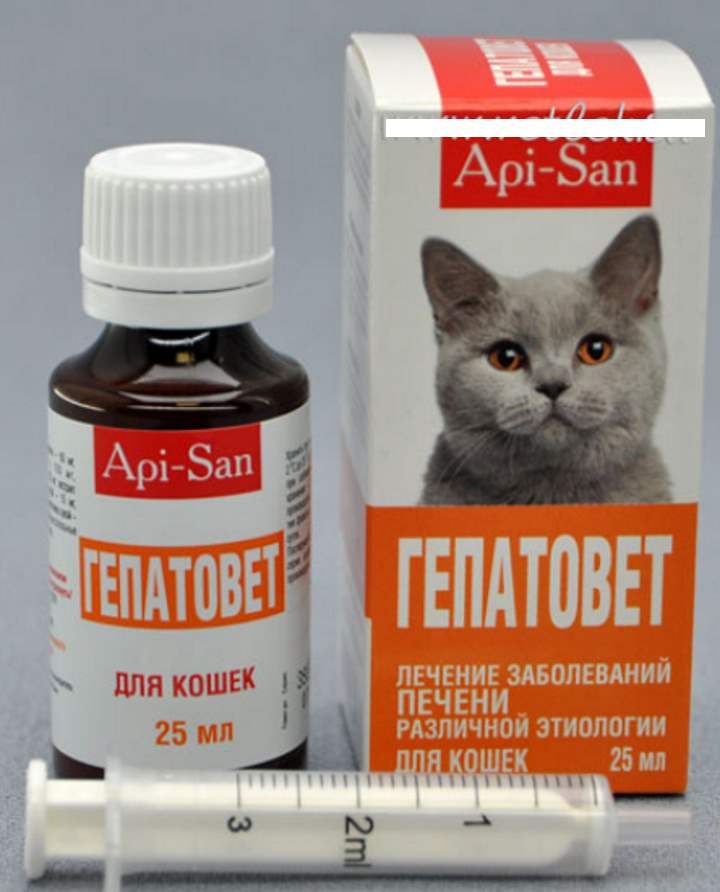 Гепатовет для кошек: инструкция по применению и дозировка, побочные эффекты, аналоги