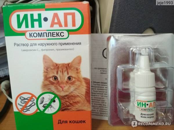 ᐉ ин-ап комплекс для кошек и собак: инструкция по применению, противопоказания - kcc-zoo.ru