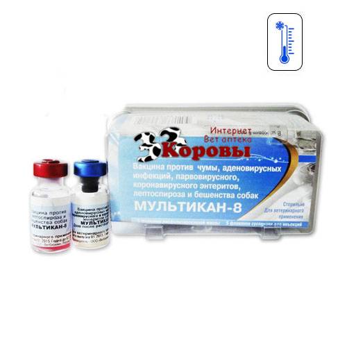 ᐉ мультикан 4: инструкция по применению вакцины для собак и щенков, дозировка и показания к использованию - kcc-zoo.ru