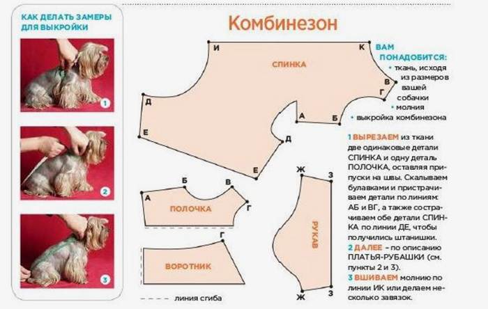 Принципы построения выкроек для одежды для собак мелких пород своими руками, таких как чихуахуа