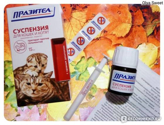 Празител: суспензия и таблетки для кошек и собак, инструкция