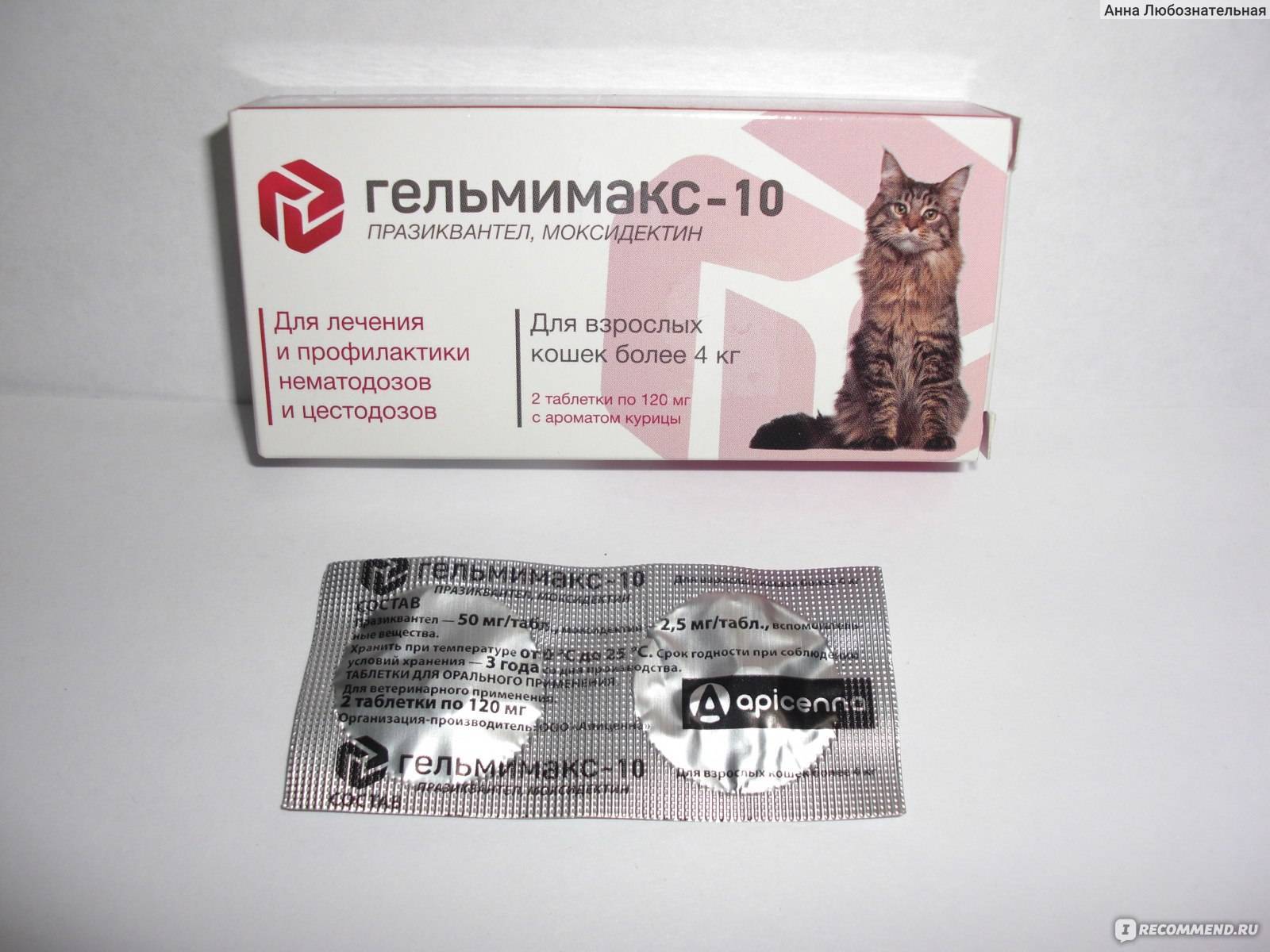 Суспензия от глистов для кошек, капли на холку от гельминтов – обзор препаратов, как давать лекарство