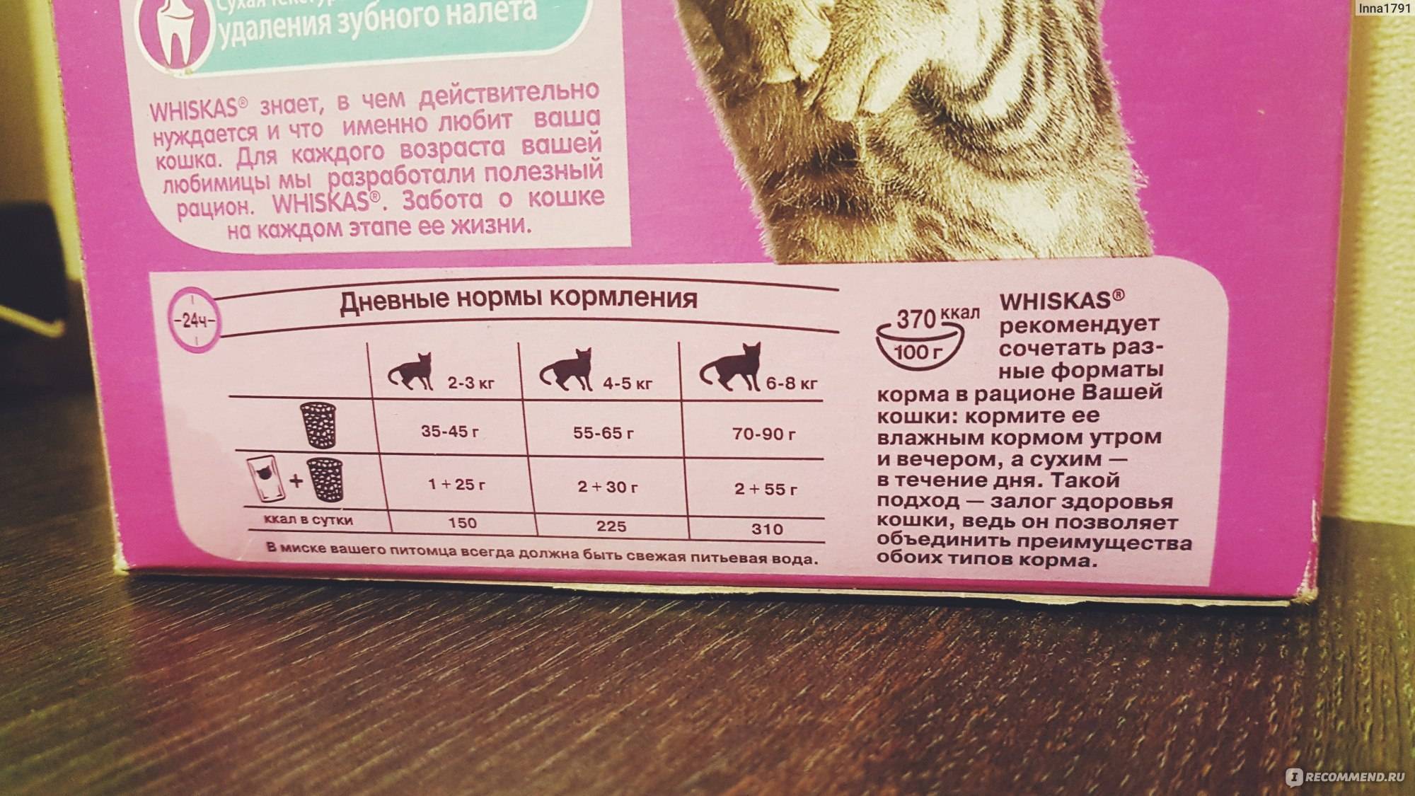 Корм для кошек и котят "Бозита": состав сухих и влажных кошачьих продуктов