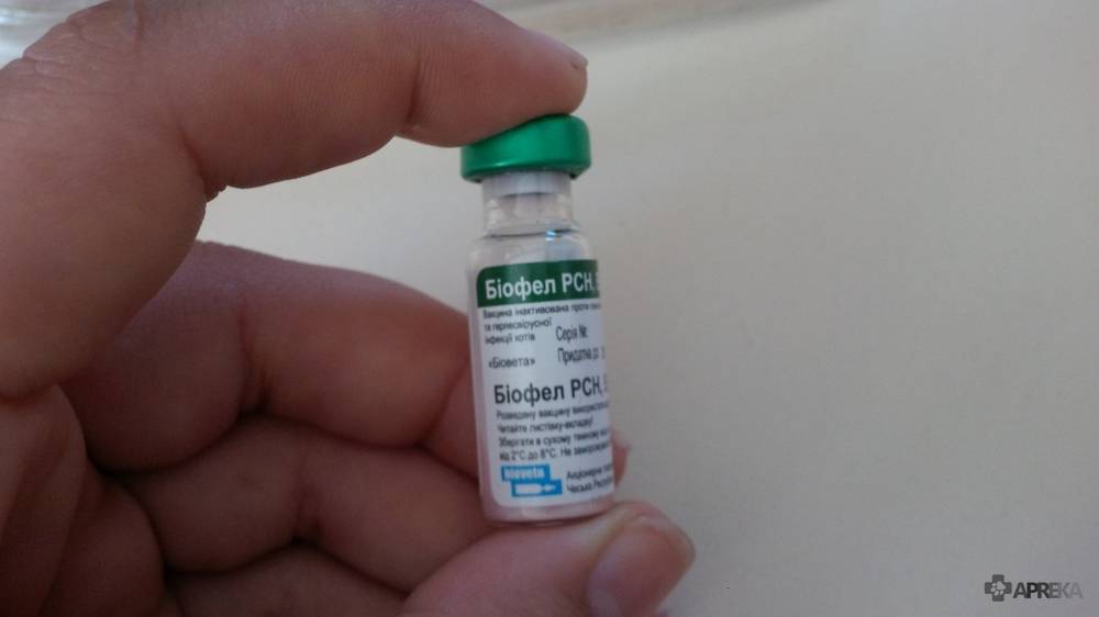 Серия вакцин нобивак для кошек: какие бывают и как применять