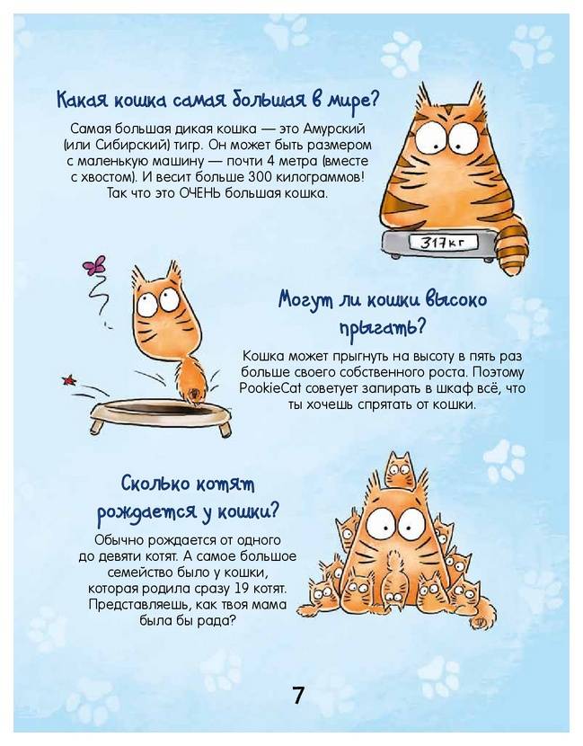 Почему кошки и коты мурлыкают?