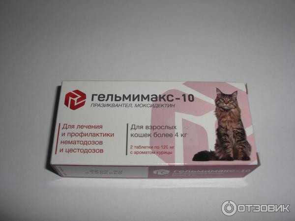 Гельмимакс-4 для кошек: инструкция по применению против гельминтов