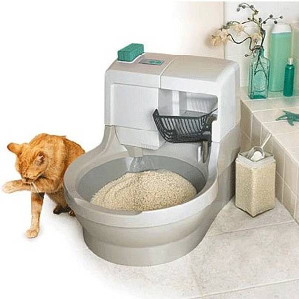 Туалет для кошек самоочищающийся: достоинства и недостатки автоматического кошачьего лотка
