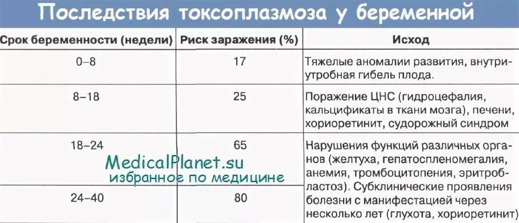 Ли токсоплазмоз. Токсоплазмоз IGM норма при беременности. IGM токсоплазмоз при беременности. Токсоплазмоз при беременности Токсо. Токсоплазма IGG при беременности.