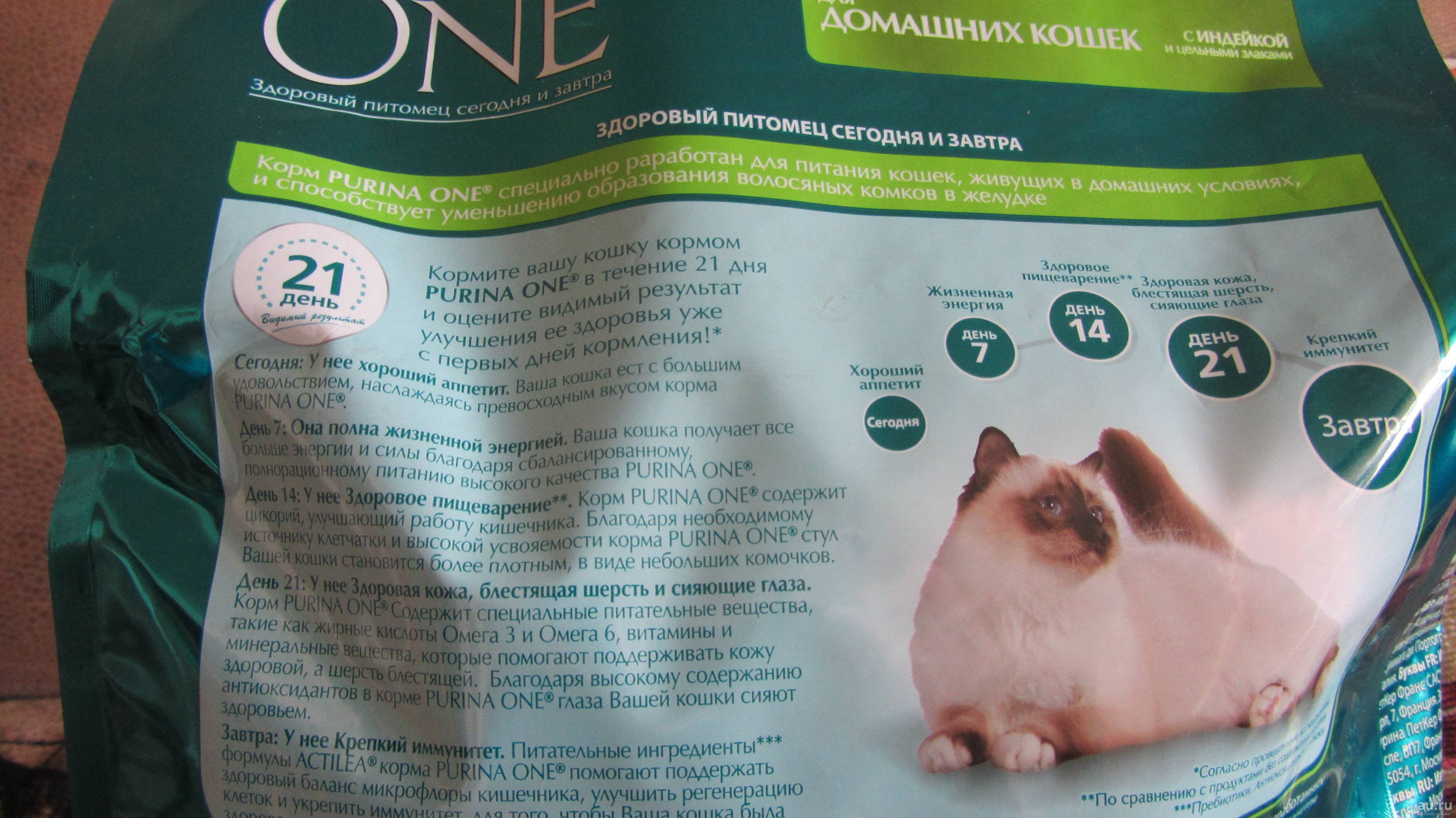 Пурина ван для кошек — обзор корма, отзыв ветеринара на состав