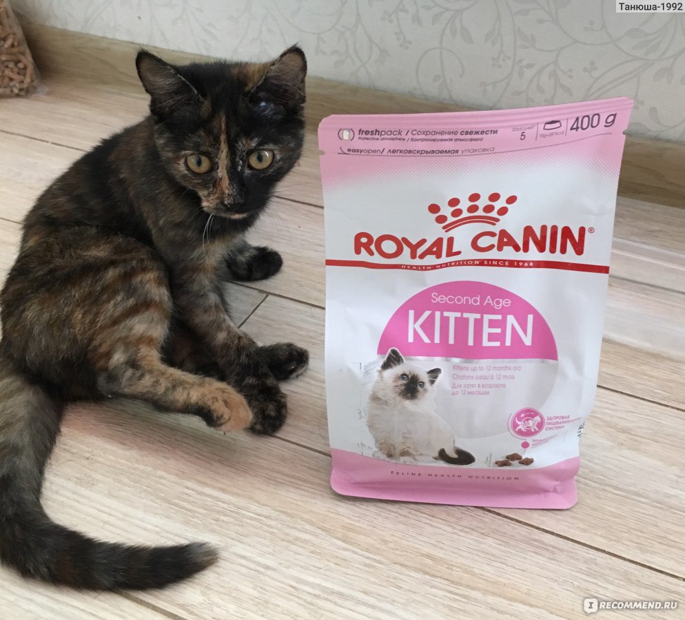 Состав корма "роял канин" для кошек и котят: обзор сухих и влажных продуктов разных линеек