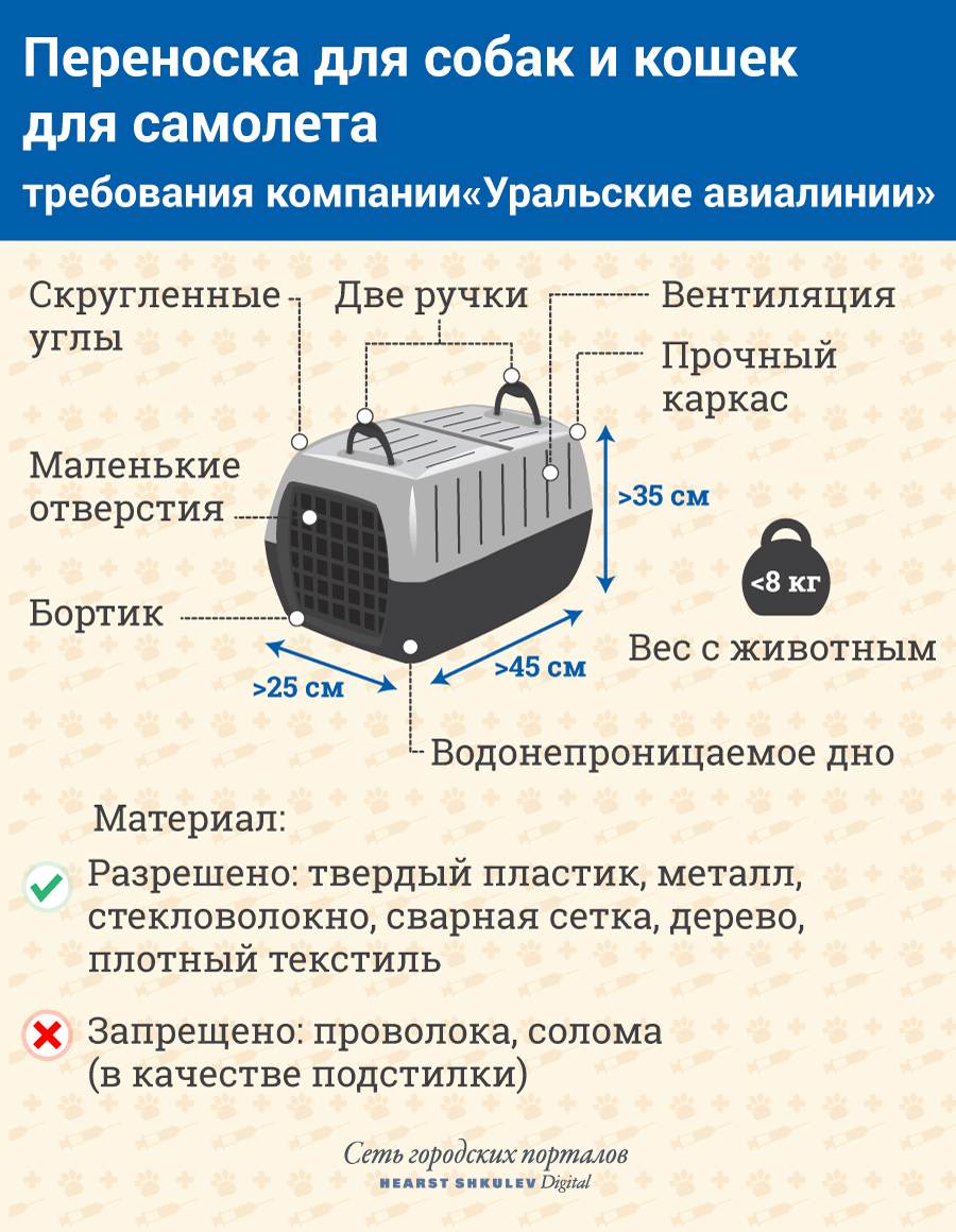 Правила перевозки собак в самолете по россии и за границу