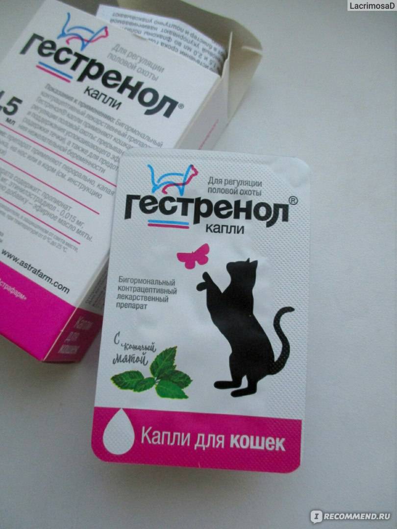 «гестренол»: таблетки и капли для кошек и котов
